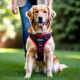 Reliable harness